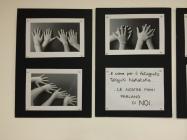 oto nov dic 2014 042