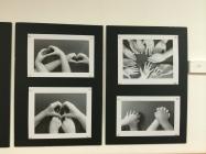 oto nov dic 2014 043