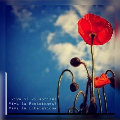 177855284 171568498164981 8163308783202875123 n