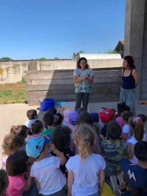 285157159 414335917221570 7251139054529691093 n