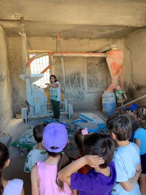 285258840 414335843888244 4113987982073374623 n