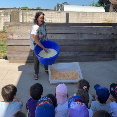 285271002 414335977221564 2355052498670440884 n