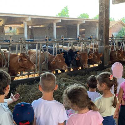 285462003 414336023888226 1930964914012951318 n