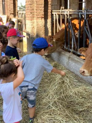 286950276 414327407222421 6009007851478825355 n