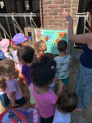 287177208 414327457222416 832900670330599537 n