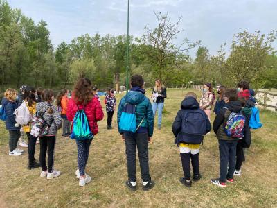 279504775 391187009536461 319572691104669794 n