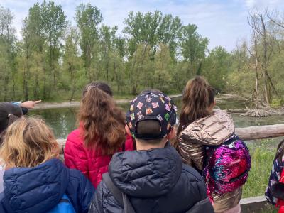 279507141 391186909536471 6216037822304356358 n