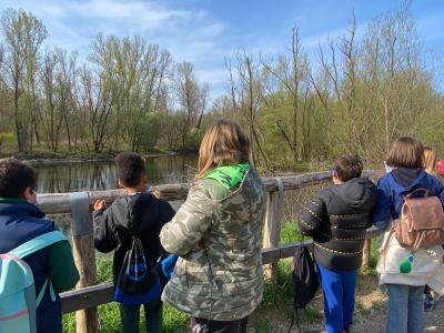 279518005 391187046203124 8445349419303052885 n