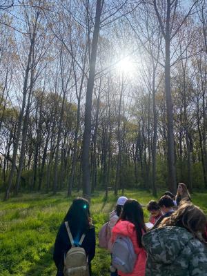 279528323 391186966203132 718420697349084342 n