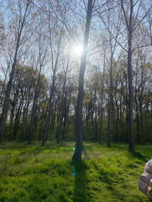 279599550 391186796203149 2382226673193938283 n