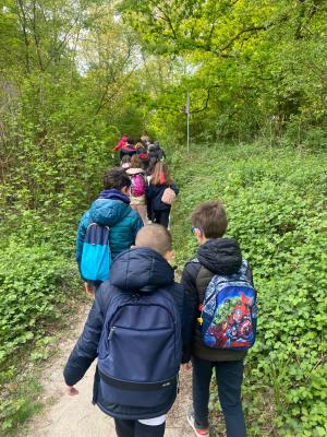 279606786 391186369536525 359621469015011773 n