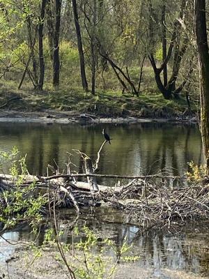 279798886 391186379536524 6762288961998248959 n