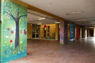 325388225 6182357971788988 6778189964907285908 n