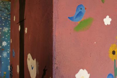 325522703 904037477446784 7813356740494037153 n