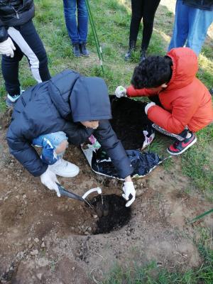 329919003 1887111311668961 4325312805212269149 n