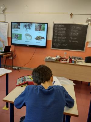 334118693 542364697886258 1179744321290245868 n