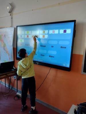 334775904 690864936153725 2491068628684574684 n