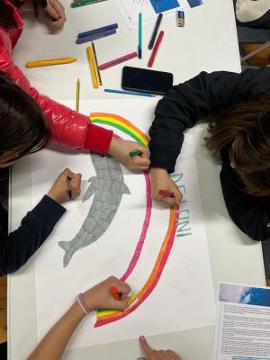 347787672 775191254258285 3695098499850688159 n