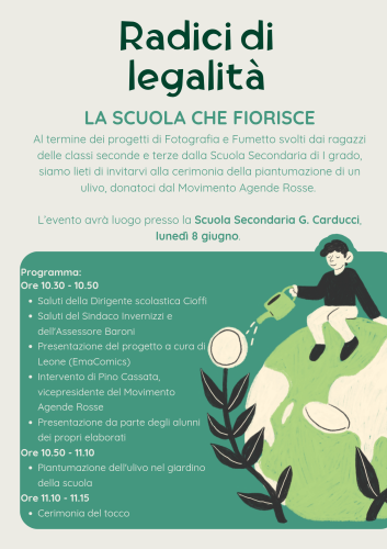 l ulivo della scuola ozzero